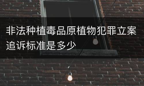 非法种植毒品原植物犯罪立案追诉标准是多少
