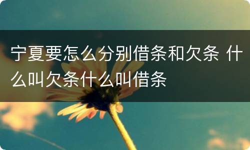 宁夏要怎么分别借条和欠条 什么叫欠条什么叫借条