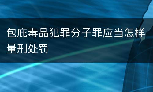 包庇毒品犯罪分子罪应当怎样量刑处罚