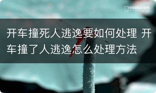 开车撞死人逃逸要如何处理 开车撞了人逃逸怎么处理方法