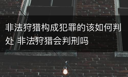 非法狩猎构成犯罪的该如何判处 非法狩猎会判刑吗