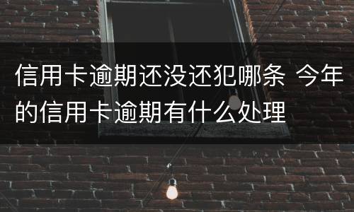 信用卡逾期还没还犯哪条 今年的信用卡逾期有什么处理