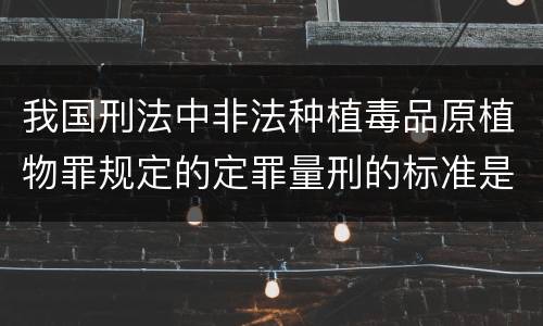 我国刑法中非法种植毒品原植物罪规定的定罪量刑的标准是怎样的