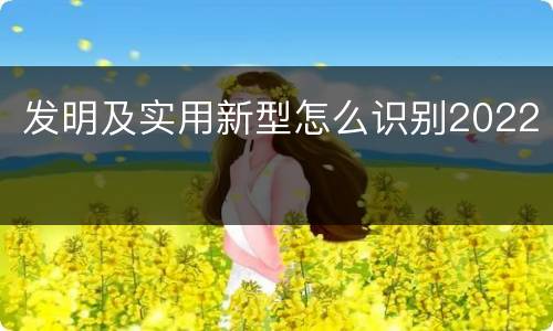 发明及实用新型怎么识别2022