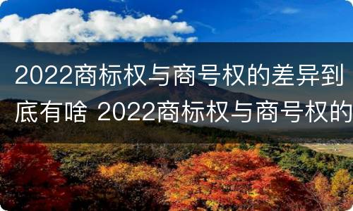 2022商标权与商号权的差异到底有啥 2022商标权与商号权的差异到底有啥影响