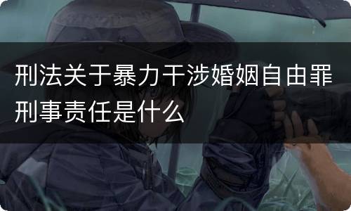刑法关于暴力干涉婚姻自由罪刑事责任是什么