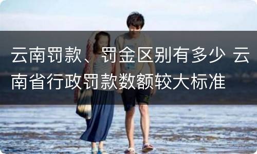 云南罚款、罚金区别有多少 云南省行政罚款数额较大标准