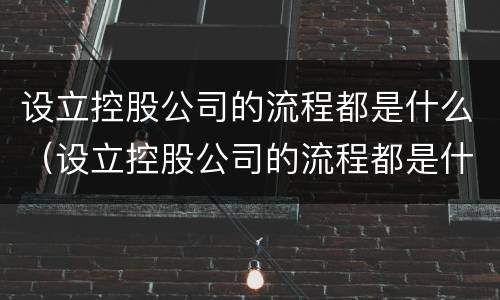 设立控股公司的流程都是什么（设立控股公司的流程都是什么内容）