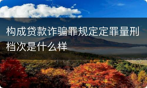 构成贷款诈骗罪规定定罪量刑档次是什么样