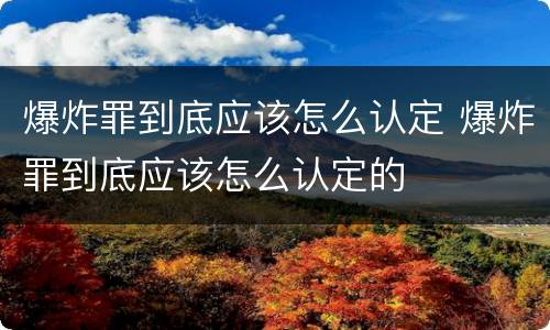 爆炸罪到底应该怎么认定 爆炸罪到底应该怎么认定的