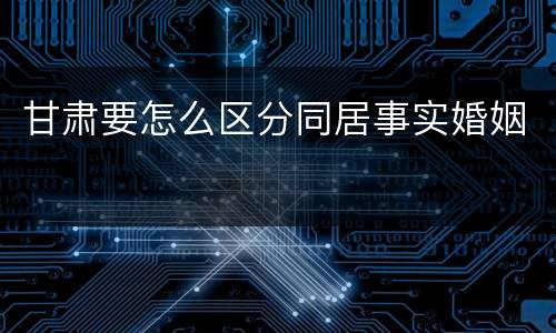 甘肃要怎么区分同居事实婚姻