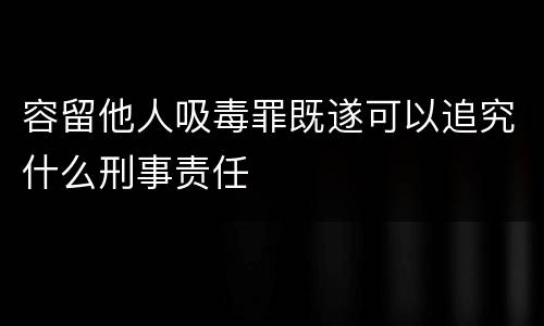 容留他人吸毒罪既遂可以追究什么刑事责任