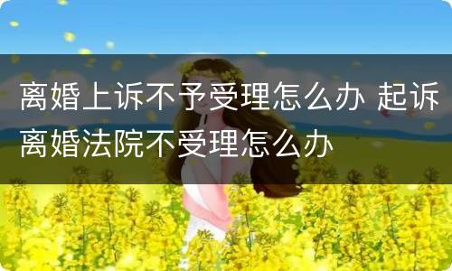 离婚上诉不予受理怎么办 起诉离婚法院不受理怎么办