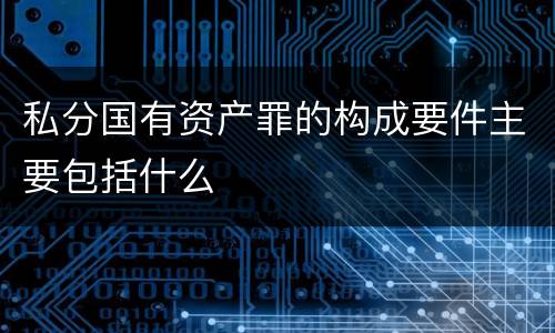 私分国有资产罪的构成要件主要包括什么