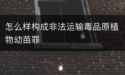 怎么样构成非法运输毒品原植物幼苗罪