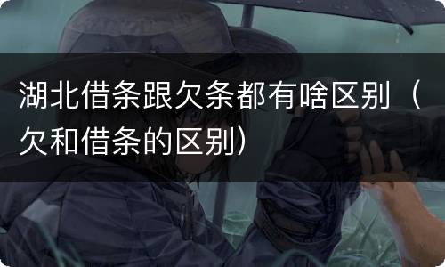 湖北借条跟欠条都有啥区别（欠和借条的区别）