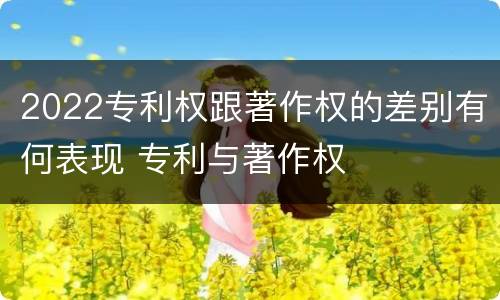 2022专利权跟著作权的差别有何表现 专利与著作权