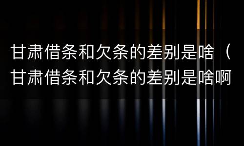 甘肃借条和欠条的差别是啥（甘肃借条和欠条的差别是啥啊）