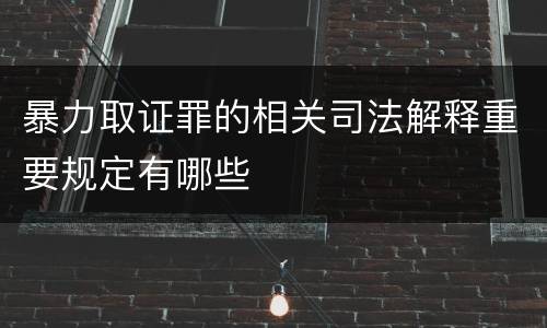 暴力取证罪的相关司法解释重要规定有哪些