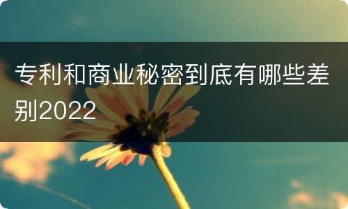 专利和商业秘密到底有哪些差别2022