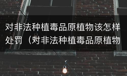 对非法种植毒品原植物该怎样处罚（对非法种植毒品原植物的处罚）