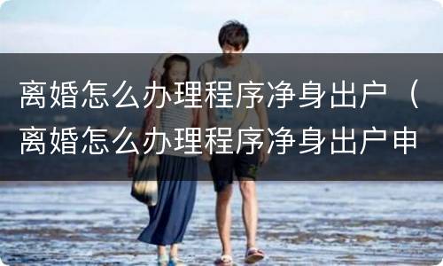 离婚怎么办理程序净身出户（离婚怎么办理程序净身出户申请）