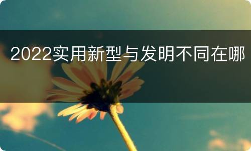 2022实用新型与发明不同在哪