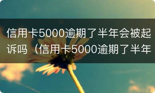 信用卡5000逾期了半年会被起诉吗（信用卡5000逾期了半年会被起诉吗）