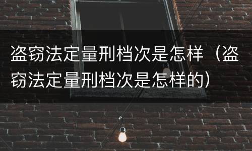 盗窃法定量刑档次是怎样（盗窃法定量刑档次是怎样的）