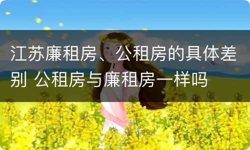 江苏廉租房、公租房的具体差别 公租房与廉租房一样吗