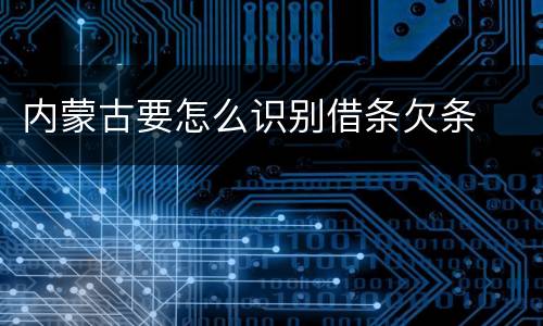 内蒙古要怎么识别借条欠条