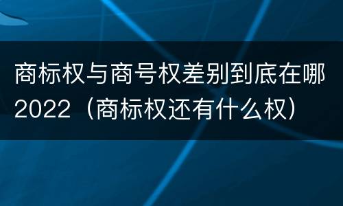 商标权与商号权差别到底在哪2022（商标权还有什么权）