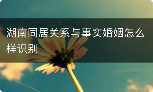 湖南同居关系与事实婚姻怎么样识别