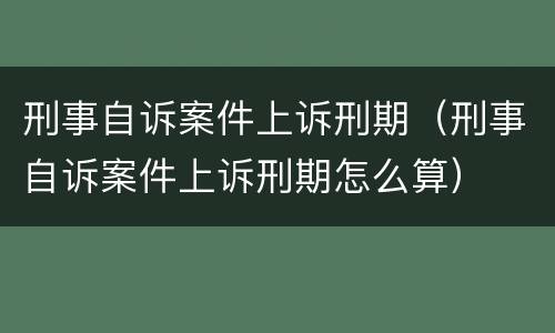 刑事自诉案件上诉刑期（刑事自诉案件上诉刑期怎么算）