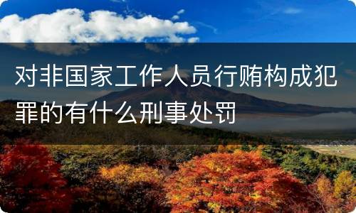 对非国家工作人员行贿构成犯罪的有什么刑事处罚