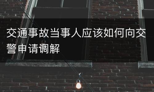 交通事故当事人应该如何向交警申请调解