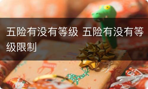 五险有没有等级 五险有没有等级限制
