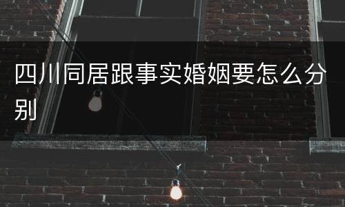 四川同居跟事实婚姻要怎么分别