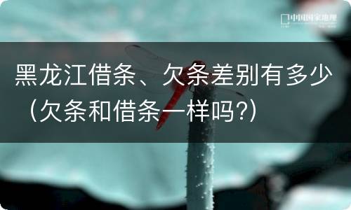 黑龙江借条、欠条差别有多少（欠条和借条一样吗?）