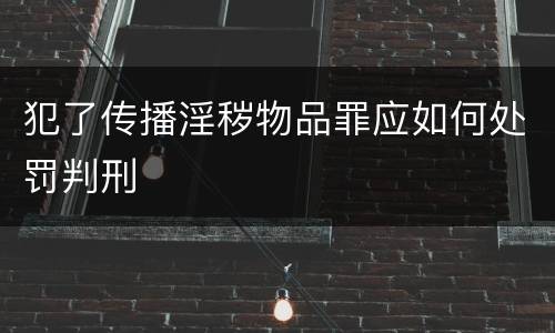犯了传播淫秽物品罪应如何处罚判刑