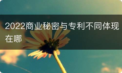 2022商业秘密与专利不同体现在哪