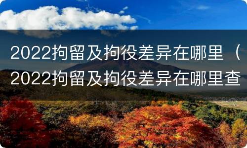 2022拘留及拘役差异在哪里（2022拘留及拘役差异在哪里查询）