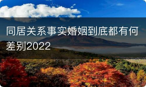 同居关系事实婚姻到底都有何差别2022