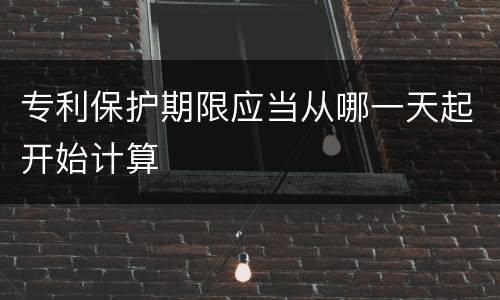 专利保护期限应当从哪一天起开始计算