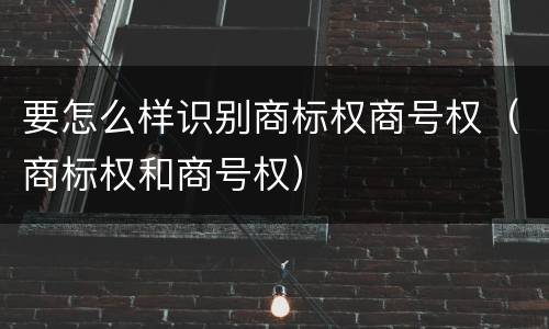 要怎么样识别商标权商号权（商标权和商号权）