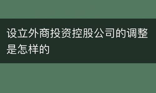 设立外商投资控股公司的调整是怎样的