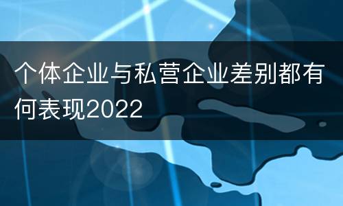 个体企业与私营企业差别都有何表现2022