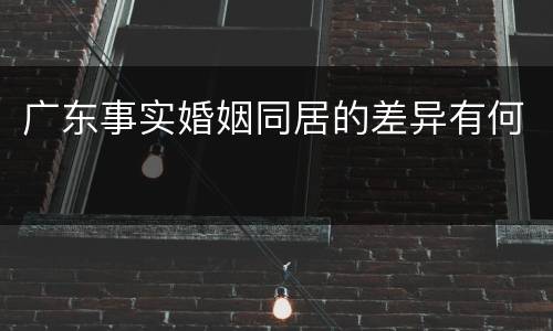 广东事实婚姻同居的差异有何