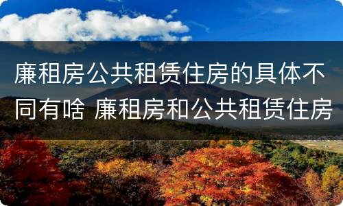 廉租房公共租赁住房的具体不同有啥 廉租房和公共租赁住房的区别