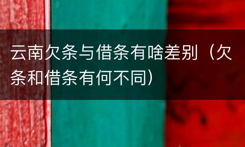云南欠条与借条有啥差别（欠条和借条有何不同）